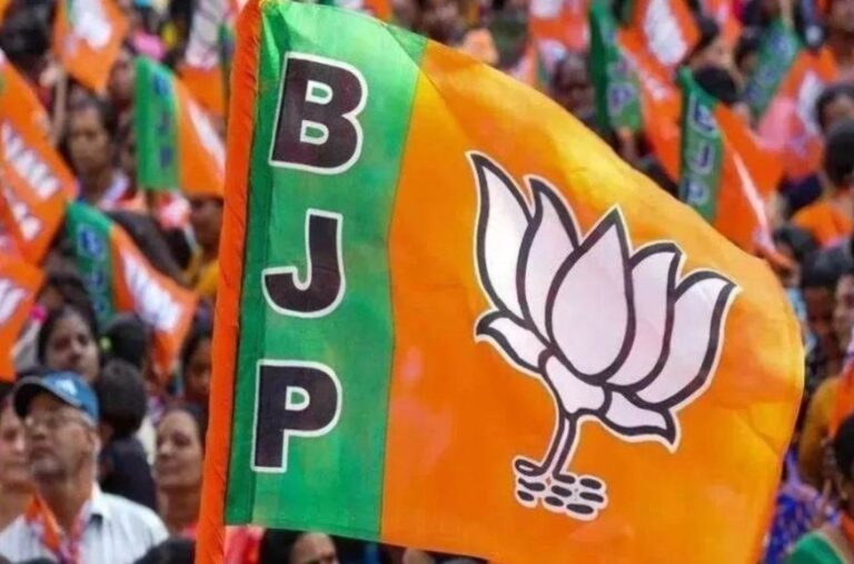 WhatsApp Image 2025-11-15 at 11.47.58 AM